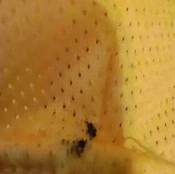 VINTAGE GARY FISHER BICYCLE SHIRT Size Med - Picture 8 of 10